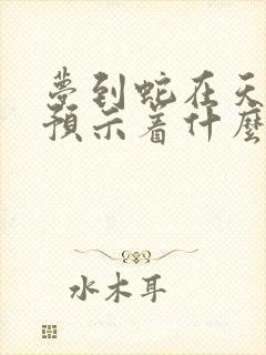 梦到蛇在天上飞预示着什么