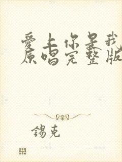 爱上你是我的错原唱完整版