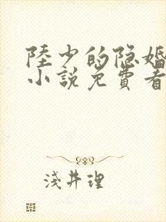 陆少的隐婚罪妻小说免费看