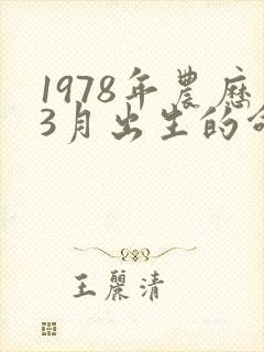 1978年农历3月出生的命运