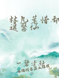 林凡叶惜都市逍遥医仙