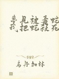 梦见被毒蛇咬了我把蛇杀死了