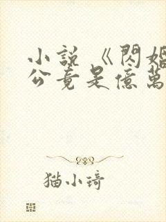 小说 《闪婚老公竟是亿万总裁》