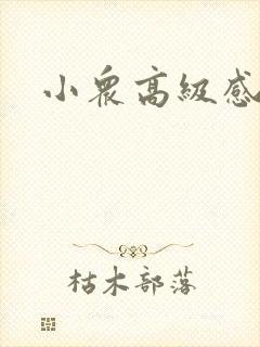 小众高级感文案