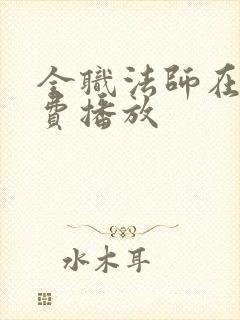 全职法师在线免费播放