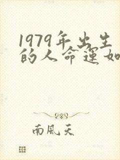 1979年出生的人命运如何