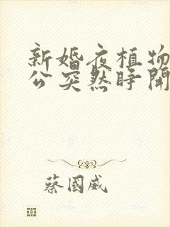 新婚夜植物人老公突然睁开眼秦安安傅时霆