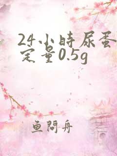 24小时尿蛋白定量0.5g