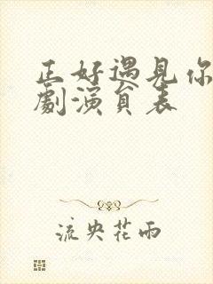 正好遇见你电视剧演员表