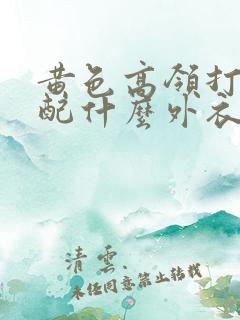 黄色高领打底衫配什么外衣好看