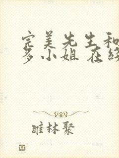 完美先生和差不多小姐 在线