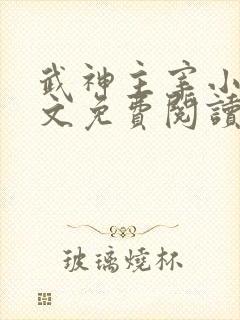 武神主宰小说全文免费阅读