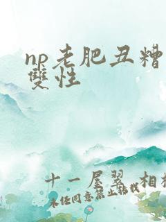 np老肥丑糟蹋双性