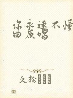 你永远不懂我歌曲原唱