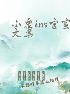 小众ins官宣文案