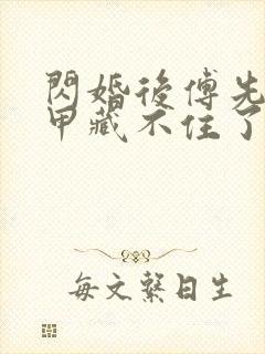 闪婚后傅先生马甲藏不住了第二部