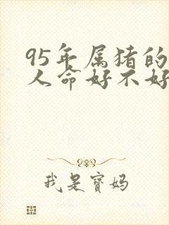 95年属猪的女人命好不好
