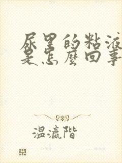 尿里的粘液丝高是怎么回事