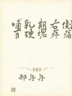 哺乳期右侧乳房有硬块疼痛怎么办