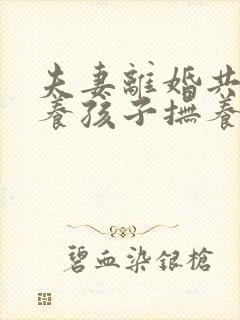 夫妻离婚共同抚养孩子抚养权归谁