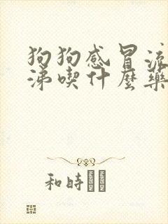 狗狗感冒流清鼻涕吃什么药好得快