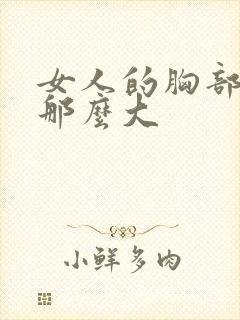 女人的胸部怎么那么大