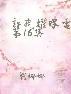 许我耀眼电视剧第16集