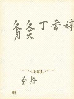 久久丁香婷婷六月天