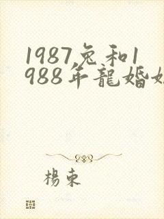 1987兔和1988年龙婚姻好不好