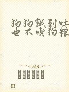 狗狗饿到吐黄水也不吃狗粮