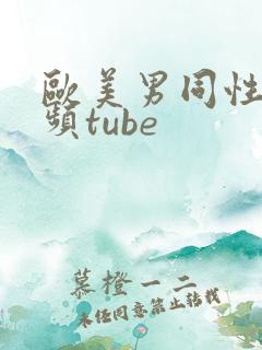 欧美男同性恋视频tube