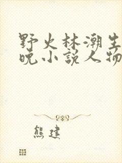 野火林潮生林晚晚小说人物野火