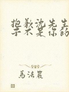 抱歉沈先生,孩子不是你的完整短剧