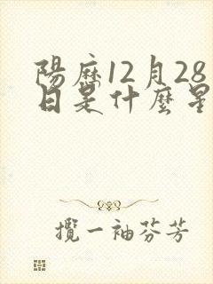 阳历12月28日是什么星座