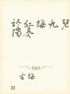 于红梅九儿二胡独奏