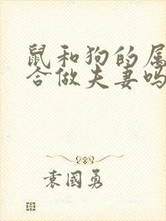 鼠和狗的属相适合做夫妻吗