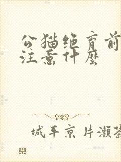 公猫绝育前需要注意什么