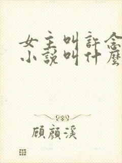 女主叫许念这本小说叫什么