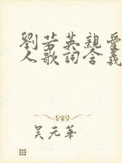 刘若英亲爱的路人歌词含义是什么