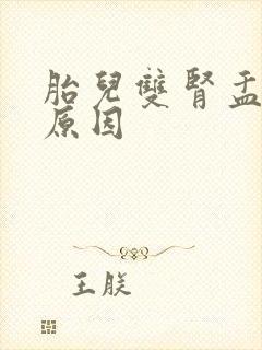 胎儿双肾盂分离原因