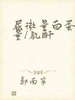 尿微量白蛋白定量/肌酐