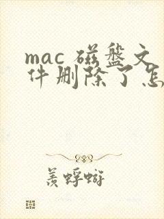 mac 磁盘文件删除了怎么恢复