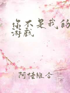 你不是我的邻居游戏