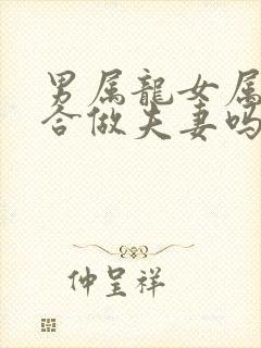 男属龙女属鸡适合做夫妻吗