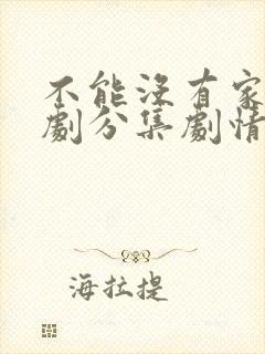 不能没有家电视剧分集剧情介绍