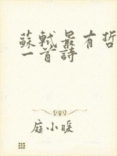 苏轼最有哲理的一首诗