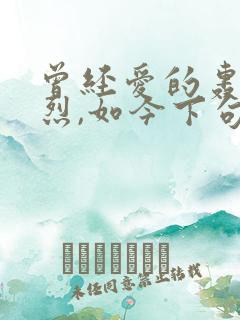 曾经爱的轰轰烈烈,如今下句是什么