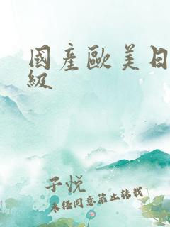 国产欧美日韩一级