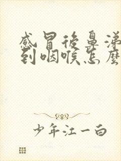 感冒后鼻涕倒流到咽喉怎么治