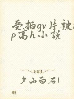 受拍gv片被np高h小说